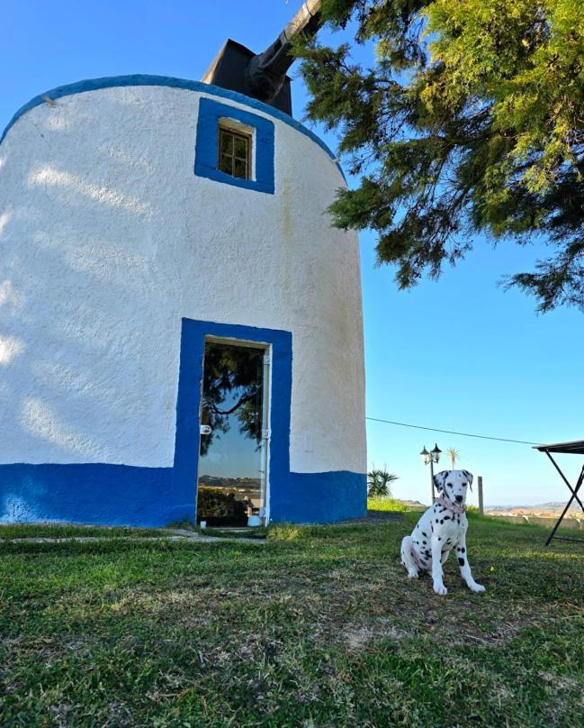 Casal Do Moinho Villa Enxara do Bispo Exterior photo